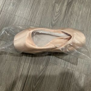 Gaynor Minden Pointe Shoes Size 9.5